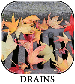 Drains